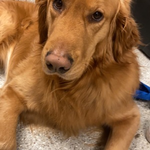 Fundraising Page: Alex Russell